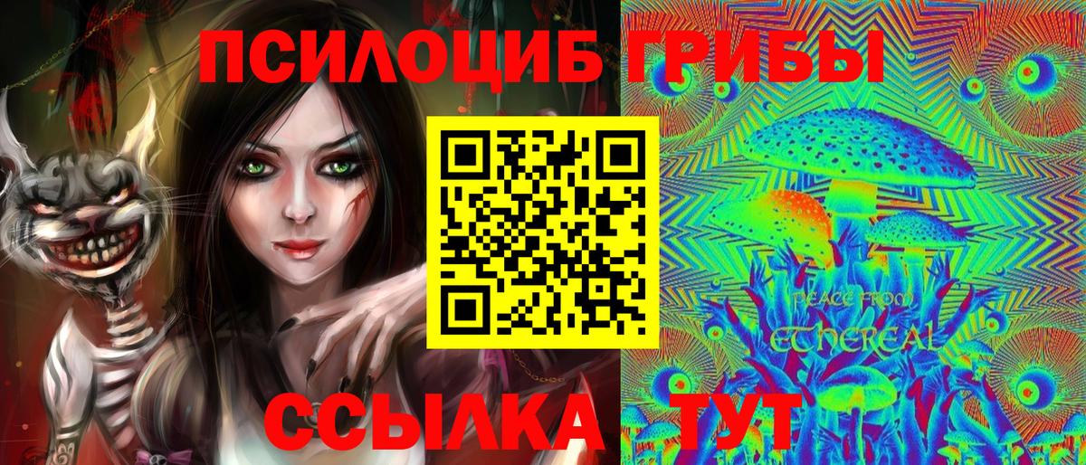 Псилоцибиновые грибы мицелий  Вход с VPN  Приморско-Ахтарск 