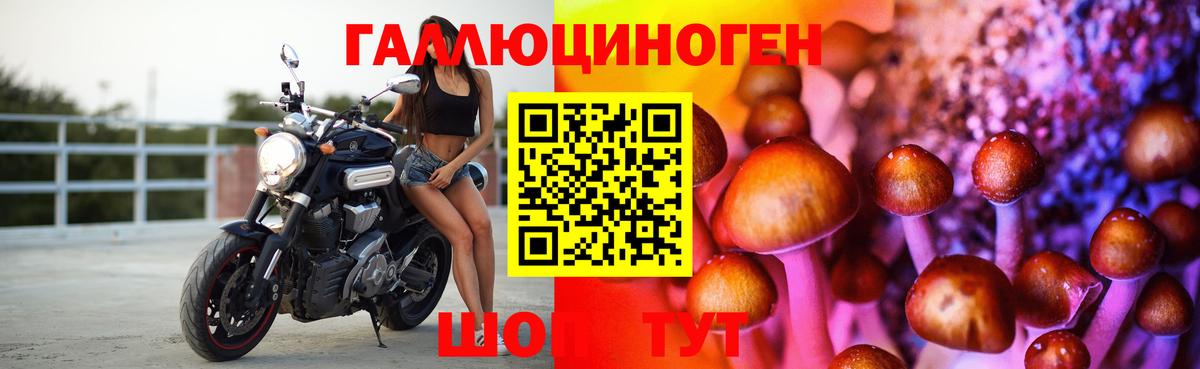 Псилоцибиновые грибы GOLDEN TEACHER Приморско-Ахтарск